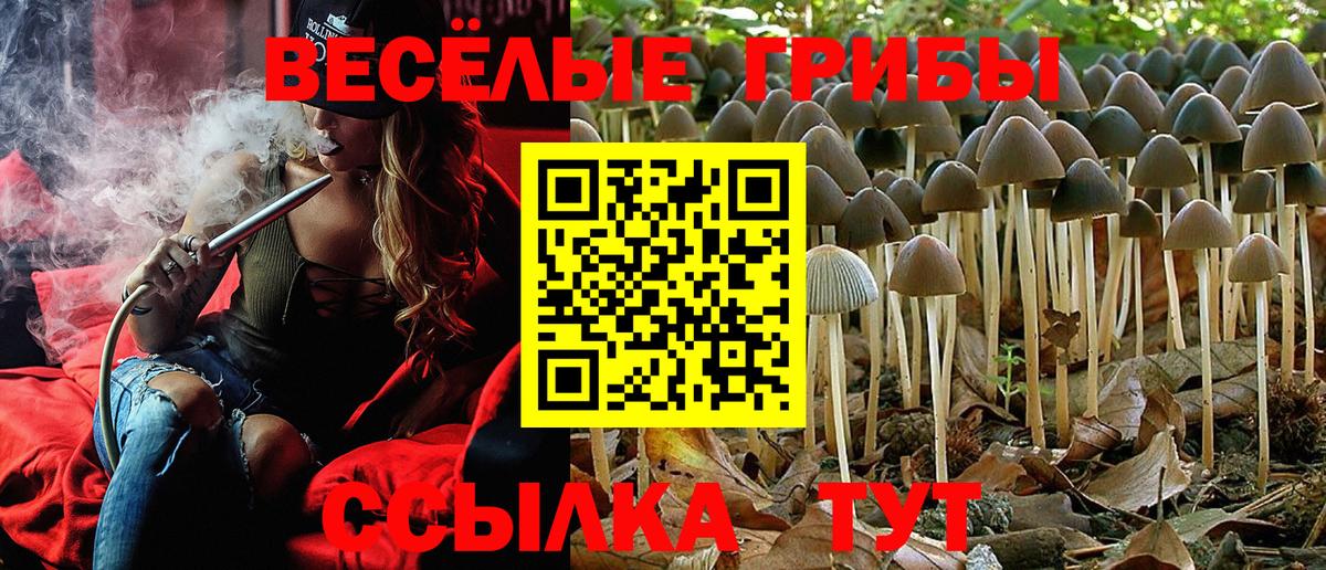 Галлюциногенные грибы Cubensis Партизанск