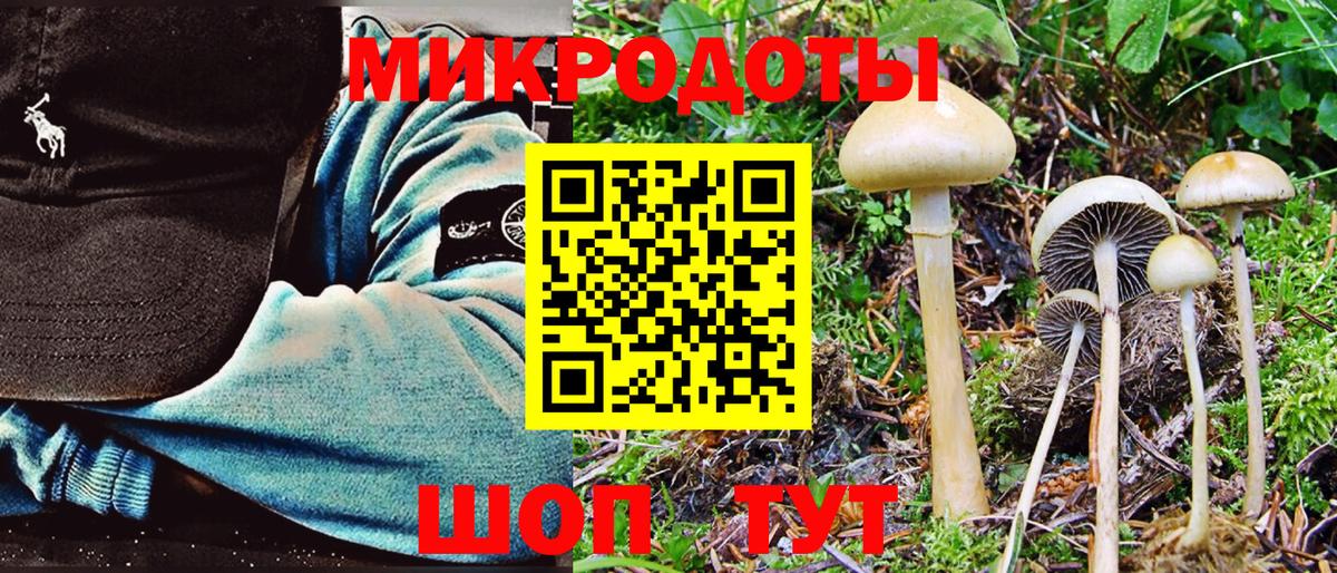 Псилоцибиновые грибы прущие грибы  Вход с VPN  Партизанск 